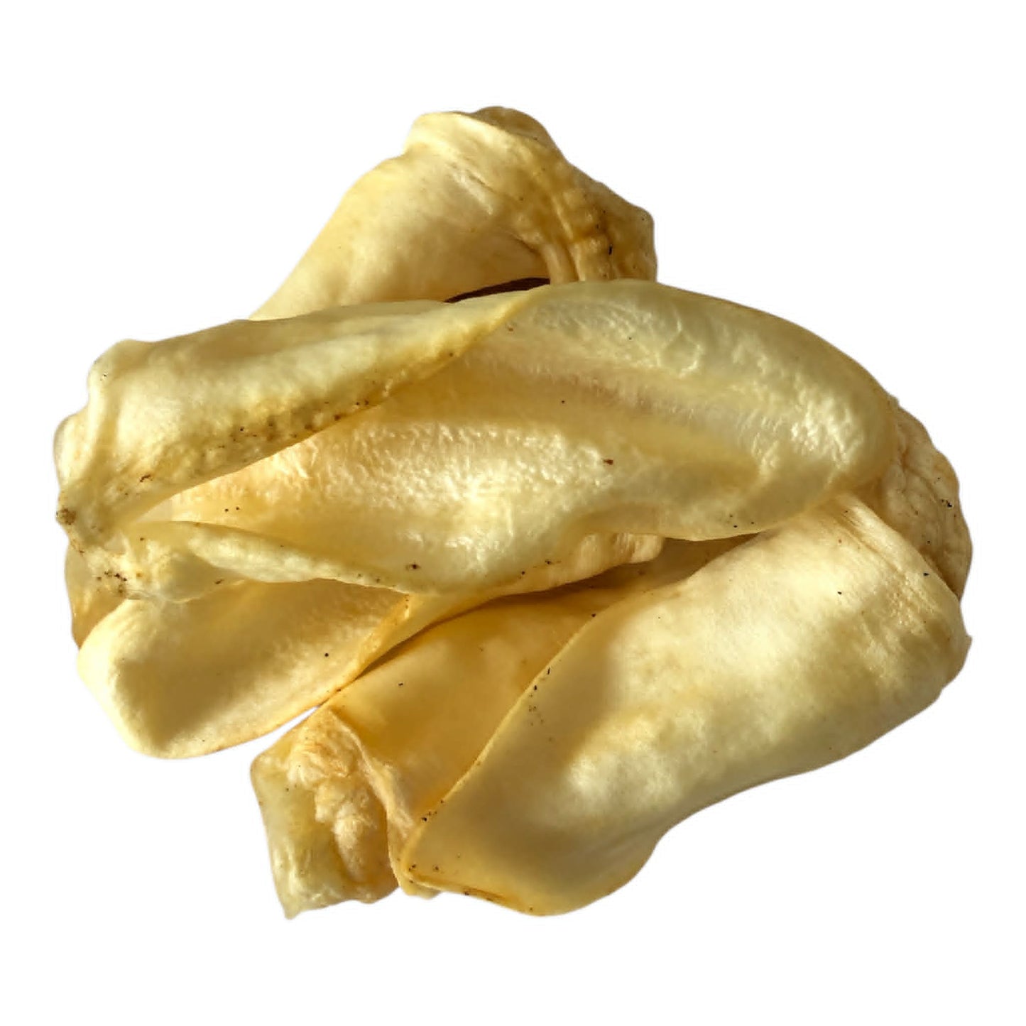 Lamb Ears Dental Chews