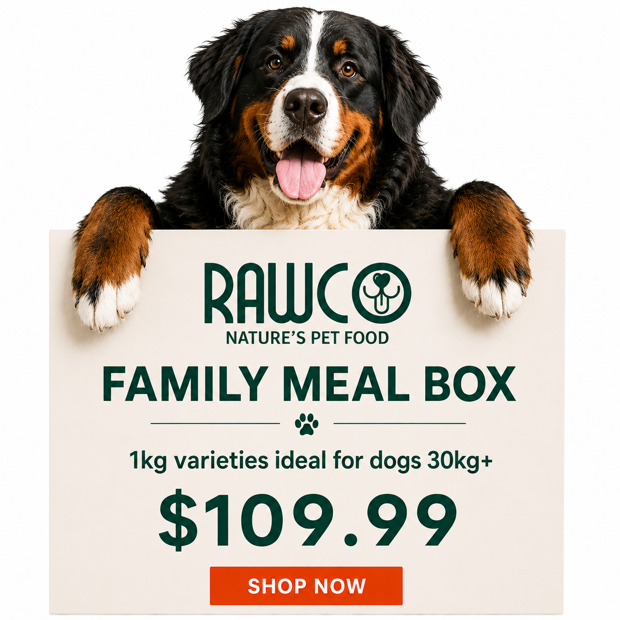 Family Meal Box