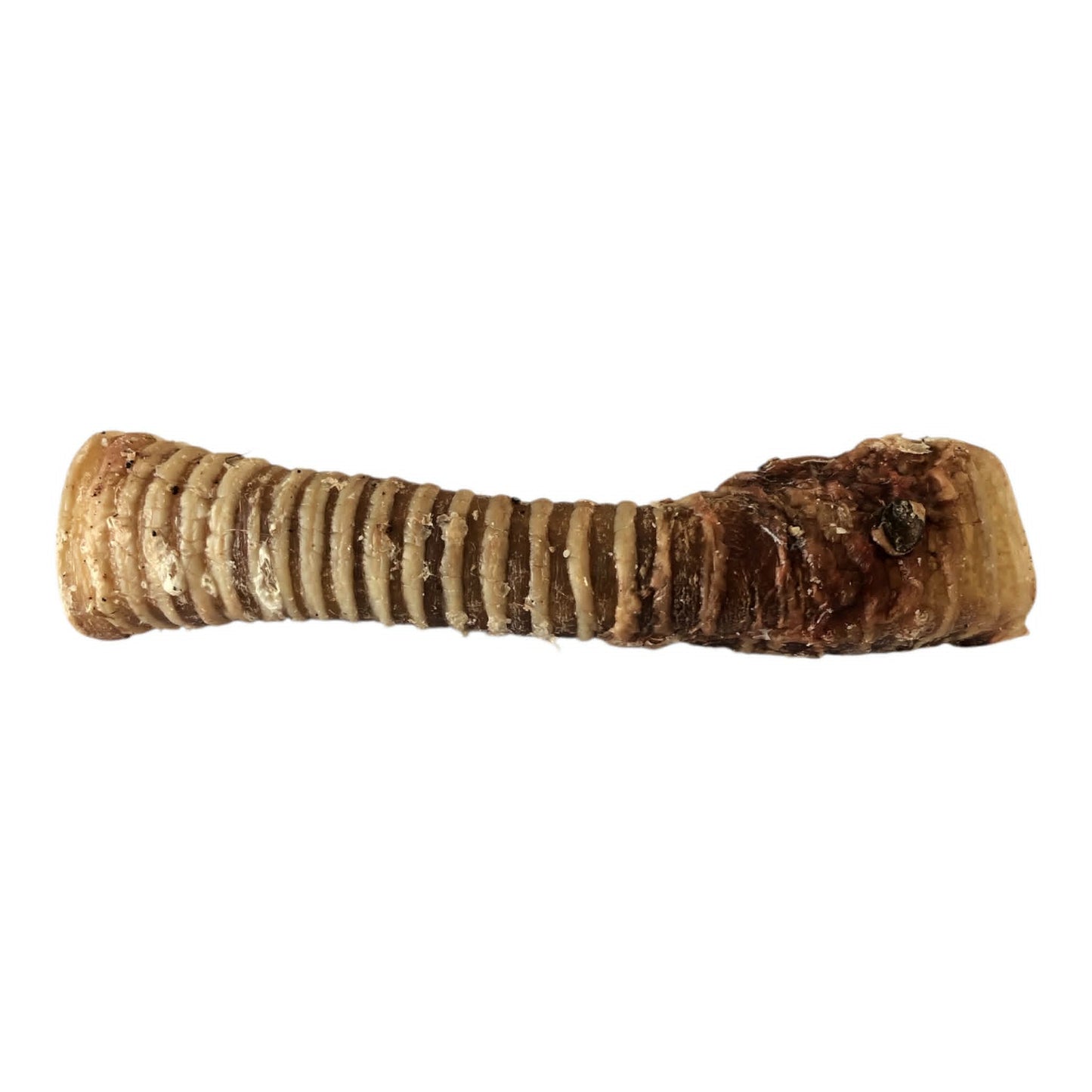 Venison Trachea Dental Chews