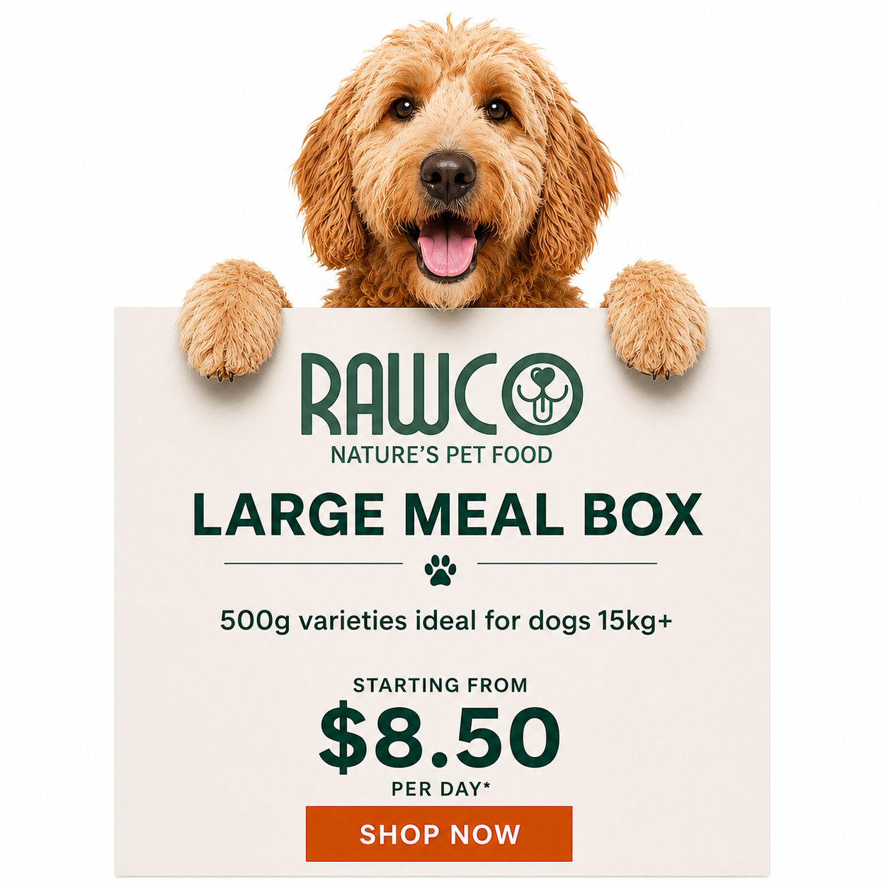 LARGE MEAL BOX