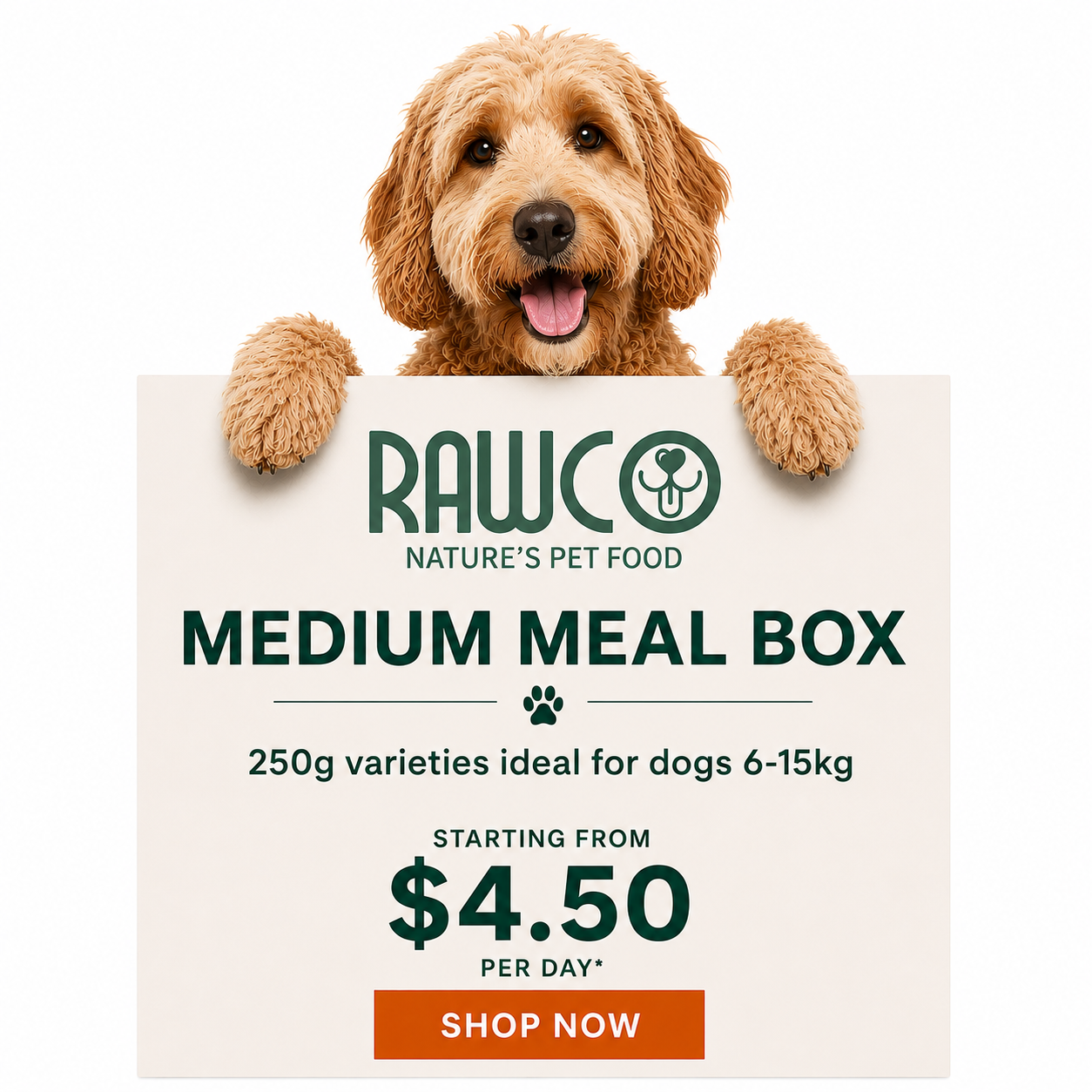 MEDIUM MEAL BOX