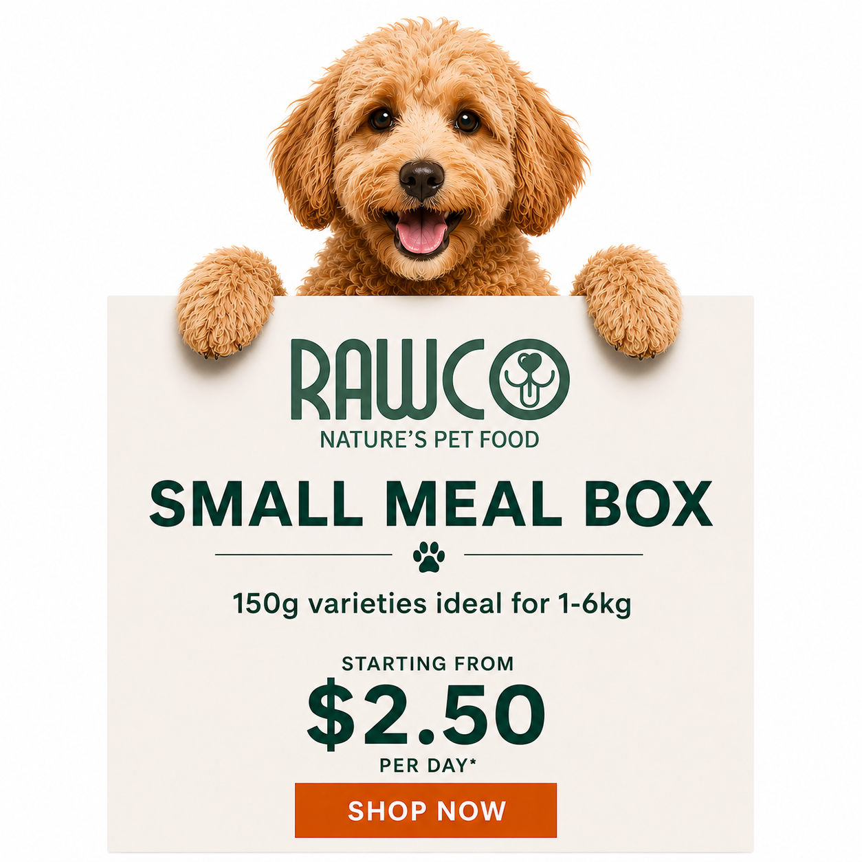 SMALL MEAL BOX
