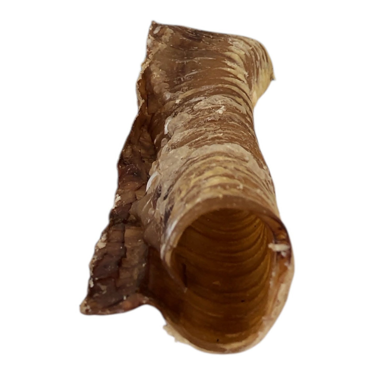 Beef Trachea Dental Chews