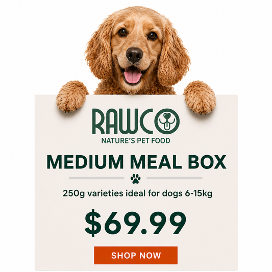 Medium Meal Box