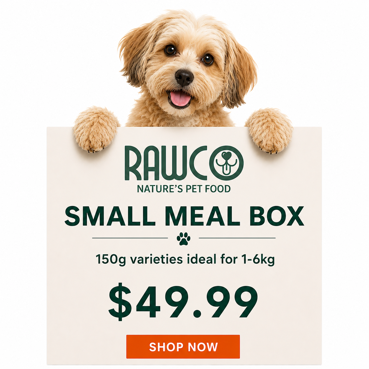Small Meal Box
