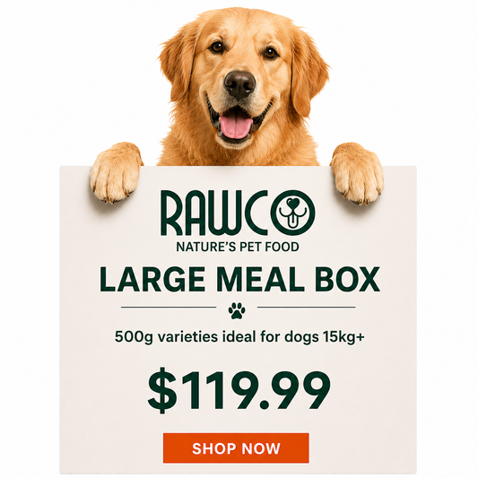 Large Meal Box